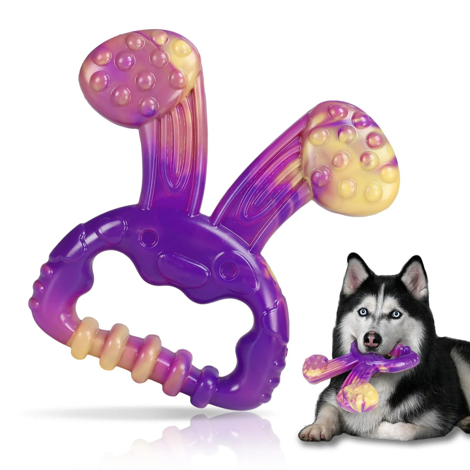 Beef Flavor Dog Chew Toy – Durable Squeaky Training Aid