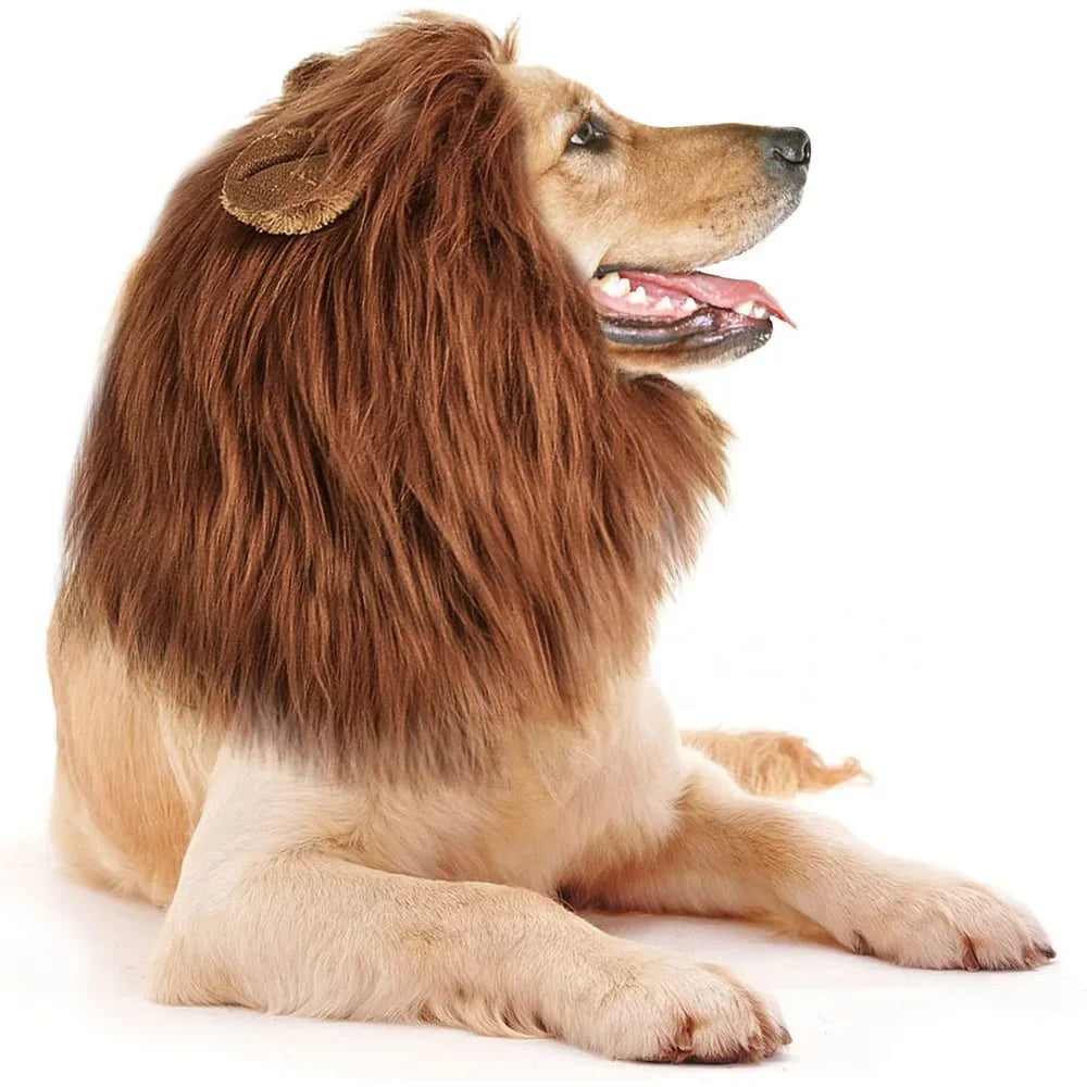Dog Lion Mane Costume – Realistic Wig for Large Dogs