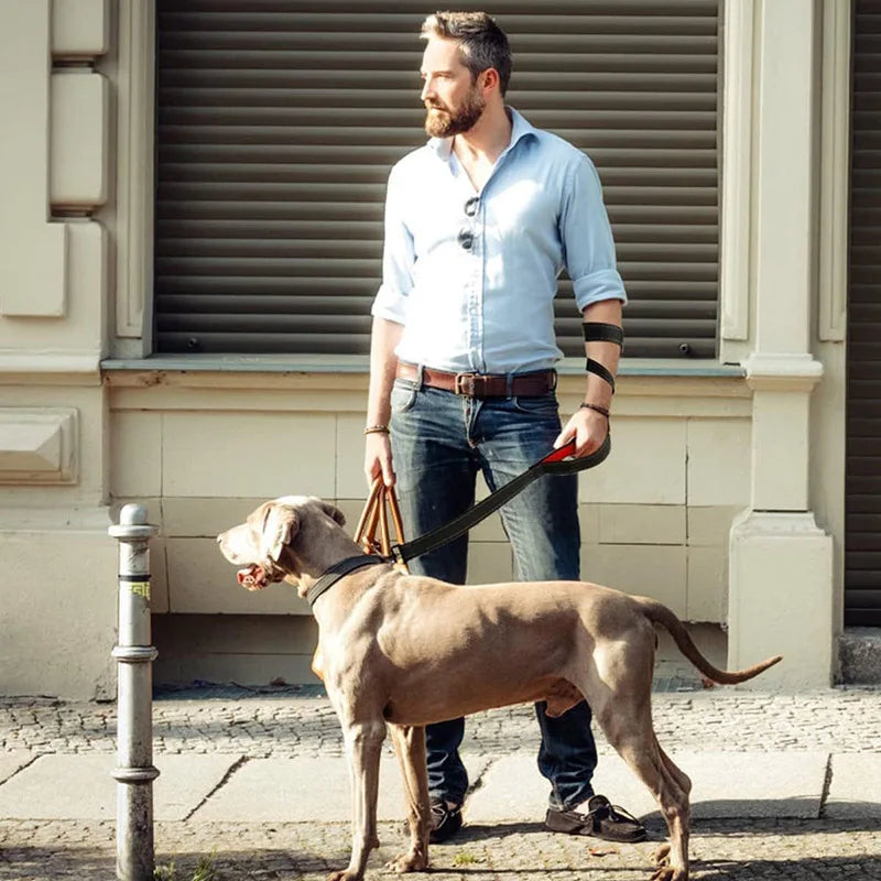 Dog Leash – Dual Handle Control