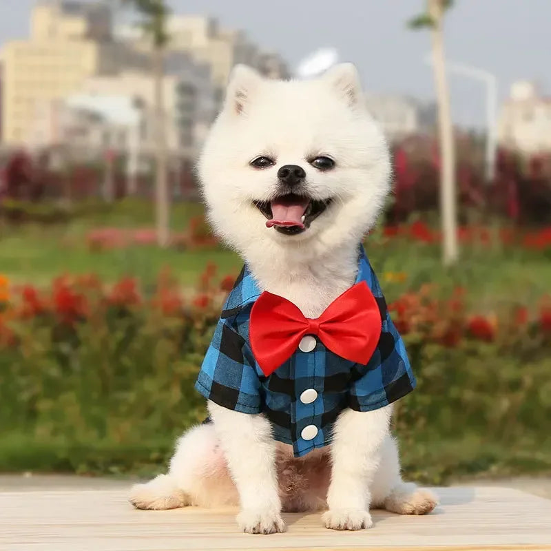 Plaid Dog Vest Coat – Formal Outfit for Small to Medium Dogs