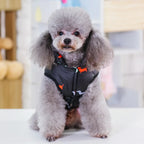 Winter Coat for Small Dogs – Insulated Cotton Jacket for Chihuahua