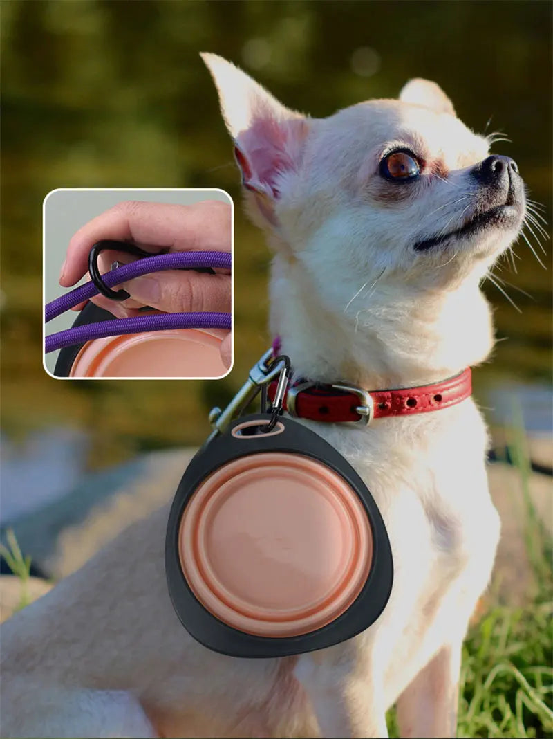 Collapsible Silicone Dog Travel Bowl – Portable Outdoor Feeding Dish