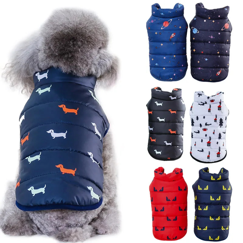 Winter Coat for Small Dogs – Insulated Cotton Jacket for Chihuahua