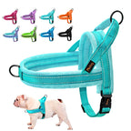 Reflective Dog Harness Vest – Warm Padded Night Safe Design