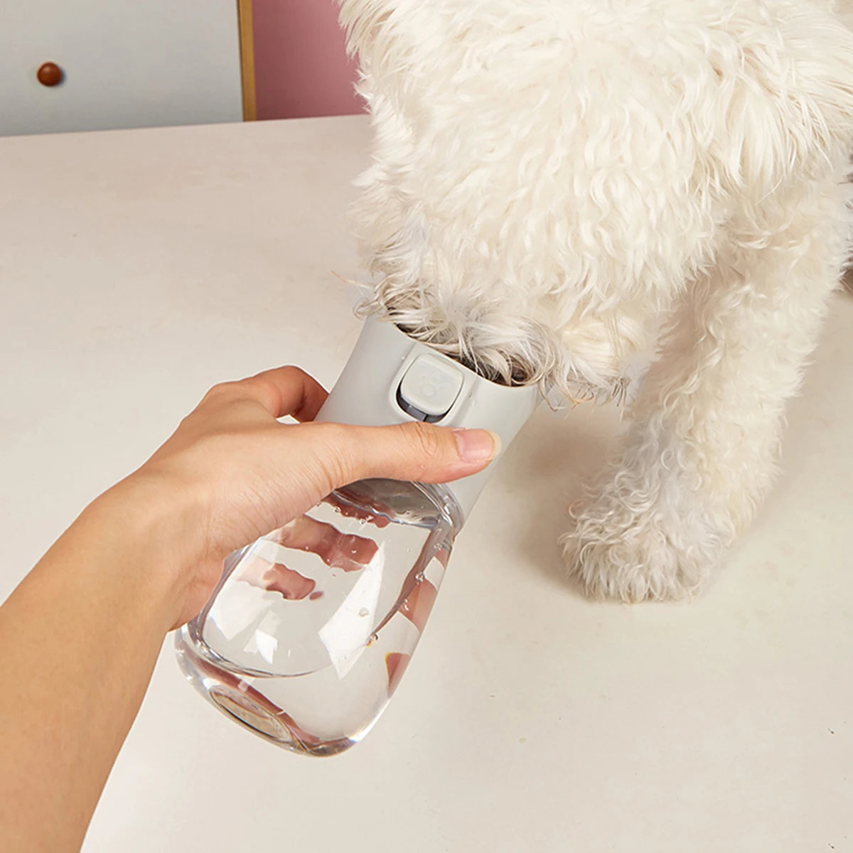 Portable Dog Water Bottle & Travel Bowl – Leak-Proof Dispenser