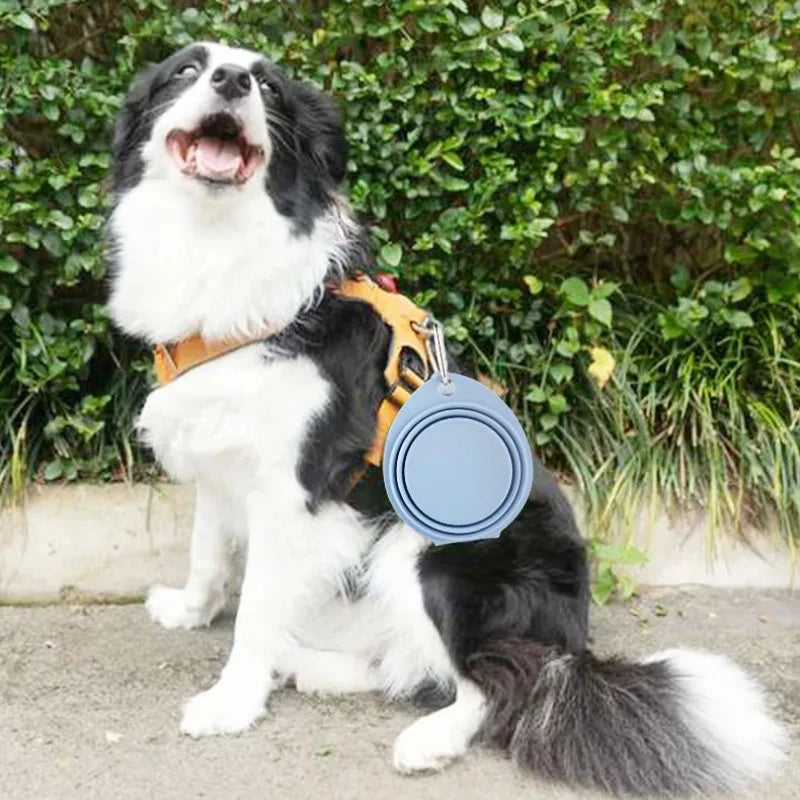 Collapsible Silicone Dog Travel Bowl – 350ml & 600ml Portable Feeder