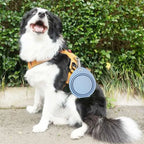 Collapsible Silicone Dog Travel Bowl – 350ml & 600ml Portable Feeder
