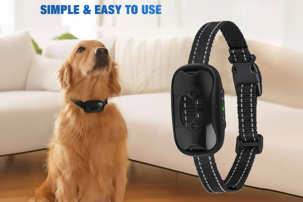 Humane Anti-Barking Dog Collar – Rechargeable & Automatic Vibration Training