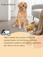 Soft Coral Fleece Dog Blanket 60x40cm – Cozy Washable Winter Throw