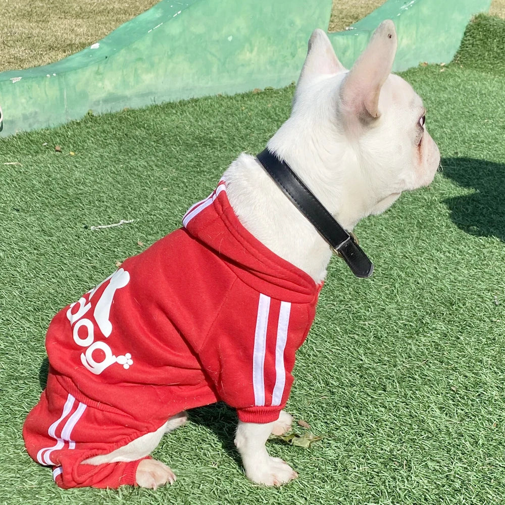 Adidog Dog Jumpsuit – Hooded Spring Outfit for Small Dogs