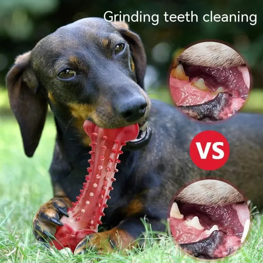 Natural Rubber Bone Dog Chew Toy – Dental Clean