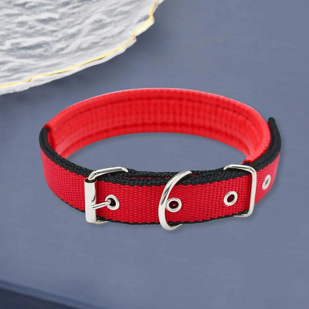 SANWOOD Adjustable Nylon Dog Collar with Traction Ring – Durable Fit All Breeds