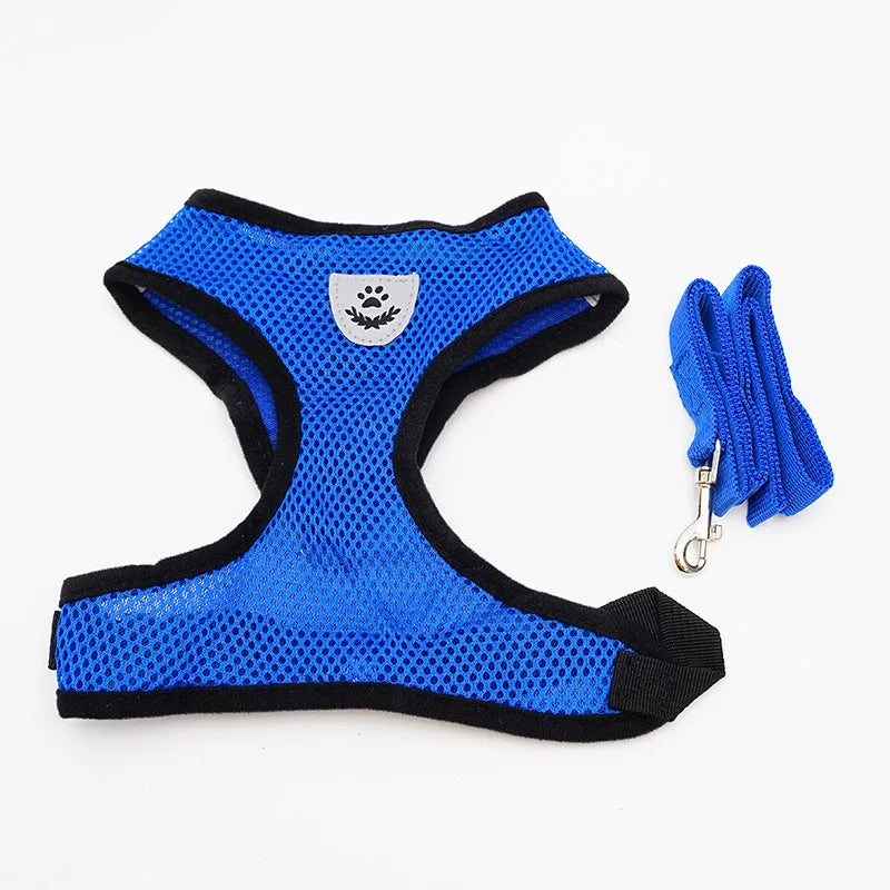 Small Dog Harness & Leash Set – Breathable Mesh Vest