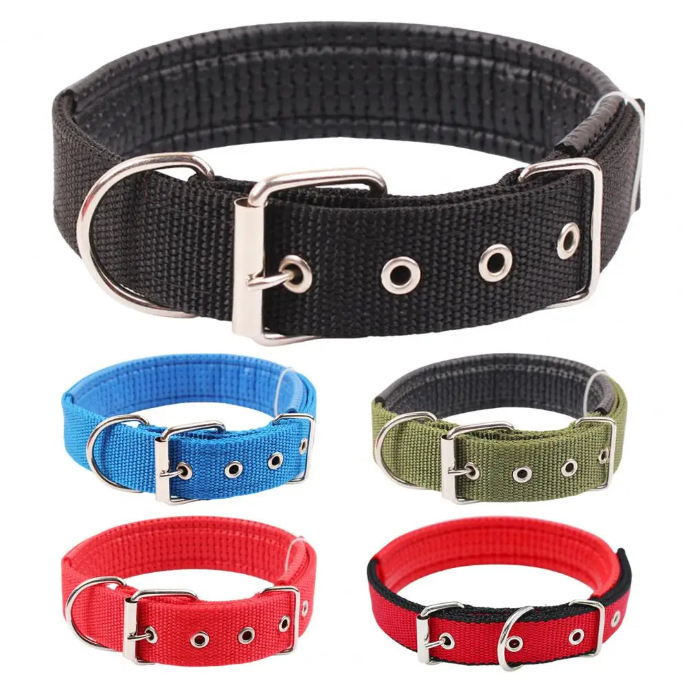 SANWOOD Adjustable Nylon Dog Collar with Traction Ring – Durable Fit All Breeds