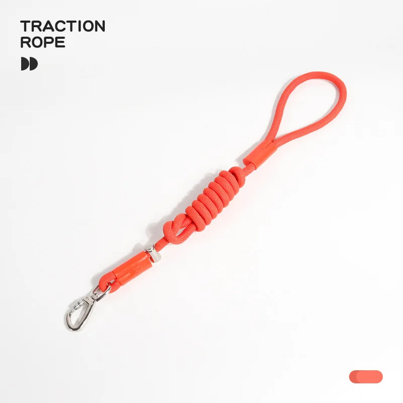 Dog P Chain Leash – Lightweight Slip Rope
