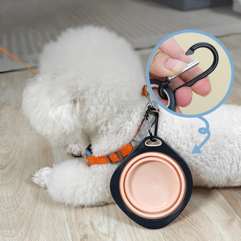 Collapsible Silicone Dog Travel Bowl – Portable Outdoor Feeding Dish