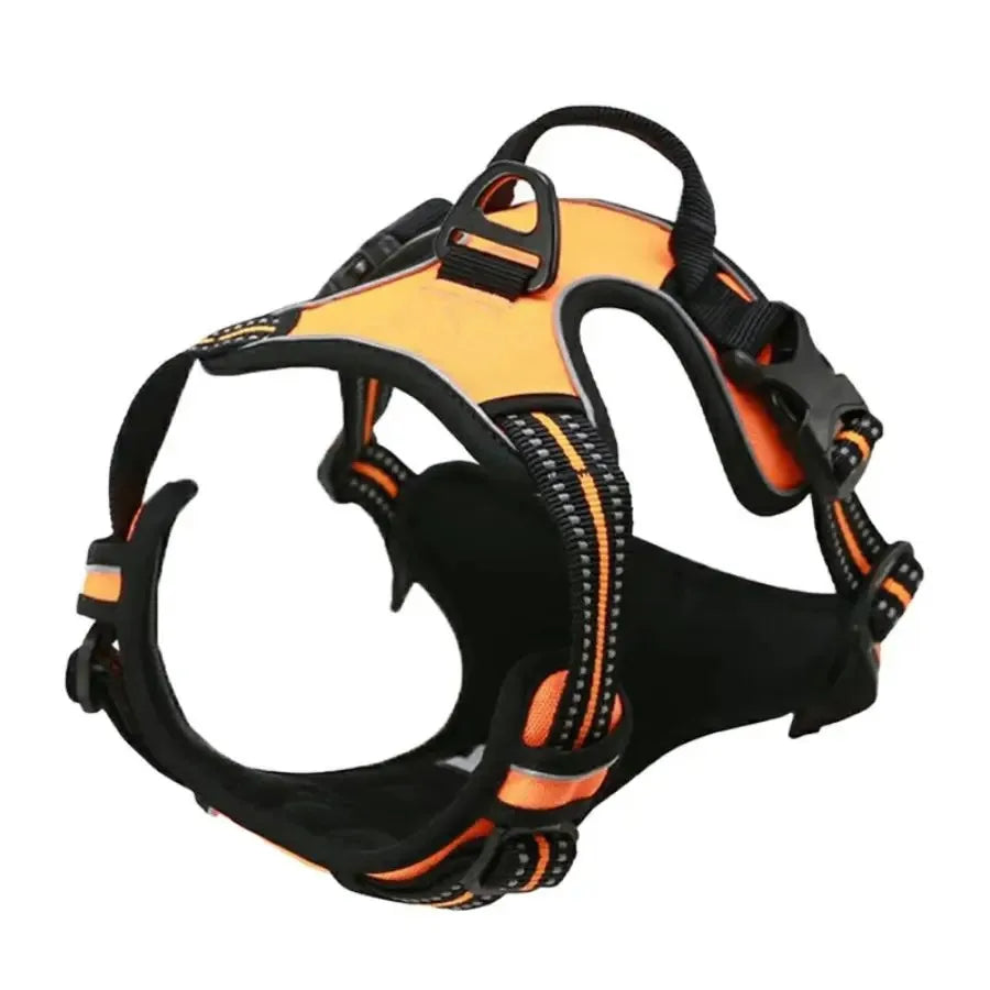 BeiYu Pet Dog Harness Vest Set – Leather Collar & Leash Kit for Small Dogs