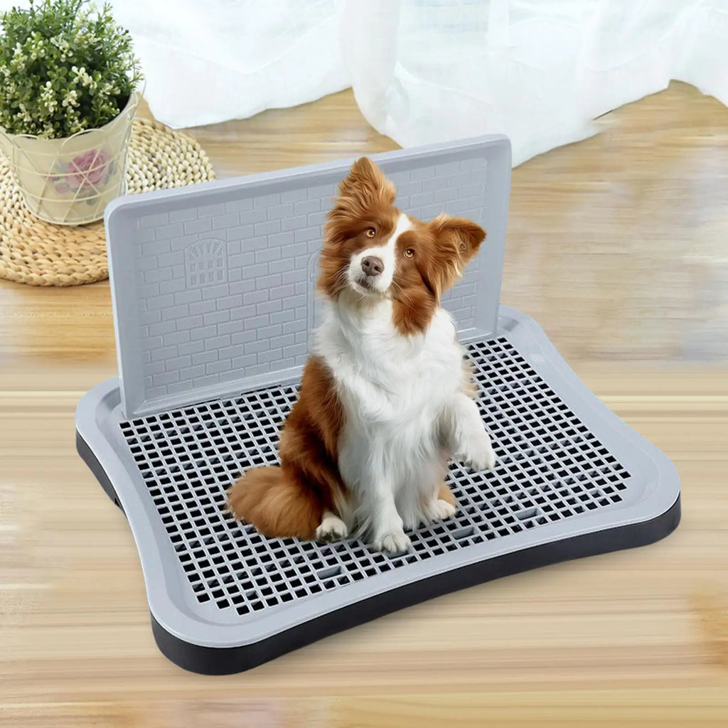 Dog Potty Tray with Wall & Urine Post – Indoor Puppy Training Toilet