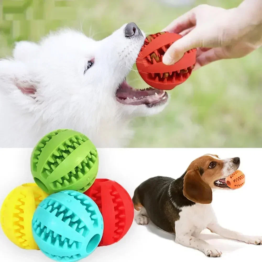 Rubber Chew Ball - Dental Care & Treat Dispensing for Dogs