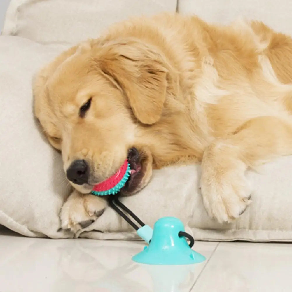 Dog Chew Toys for Aggressive Chewers – Suction Cup, Treat Ball & Dental Care