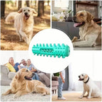 Dog Tooth Chewing Toy – Dental Care TPR Chew