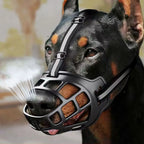 Dog Muzzle – Adjustable Anti-Biting Safety Guard