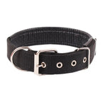 SANWOOD Adjustable Nylon Dog Collar with Traction Ring – Durable Fit All Breeds