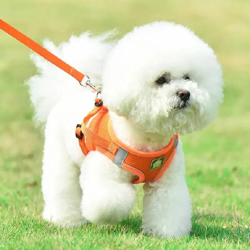 Reflective Dog Harness and Leash Set – No Pull Mesh Vest
