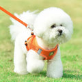 Reflective Dog Harness and Leash Set – No Pull Mesh Vest