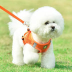 Reflective Dog Harness and Leash Set – No Pull Mesh Vest
