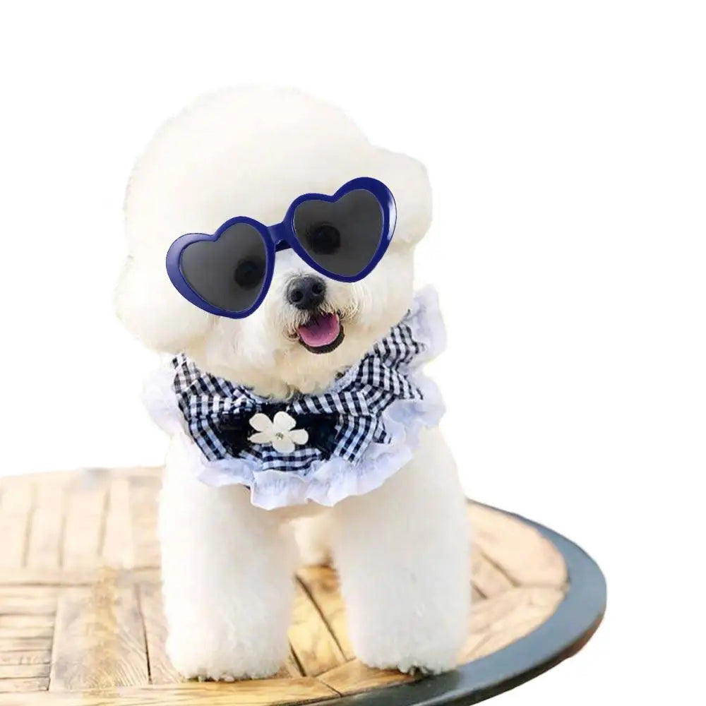 Fashion Heart Dog Sunglasses – Lightweight Photo Accessory