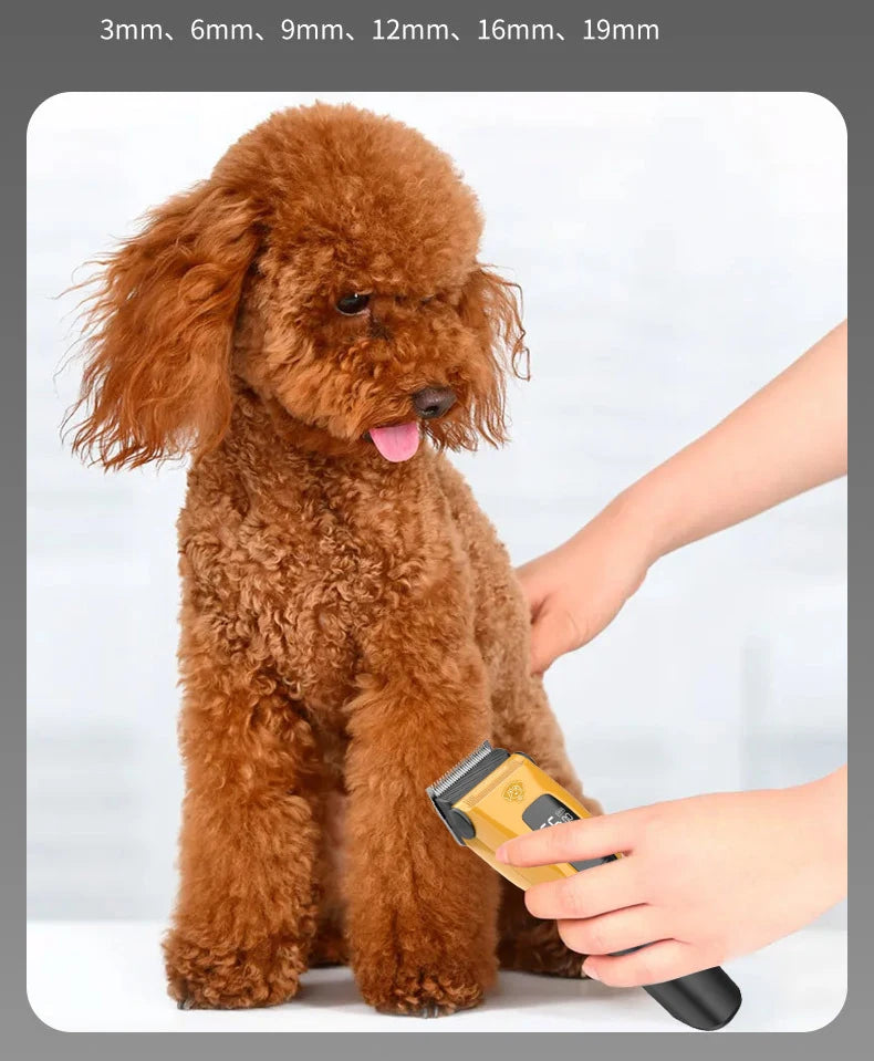 Professional Cordless Pet Clipper - Type-C Rechargeable Dog Trimmer