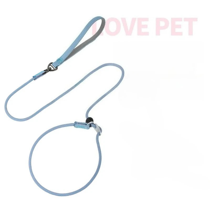 Dog Slip Leash – 2-in-1 Training Control