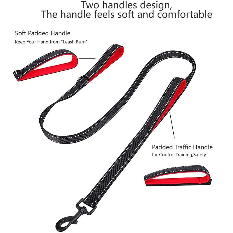 Dog Leash – Dual Handle Control