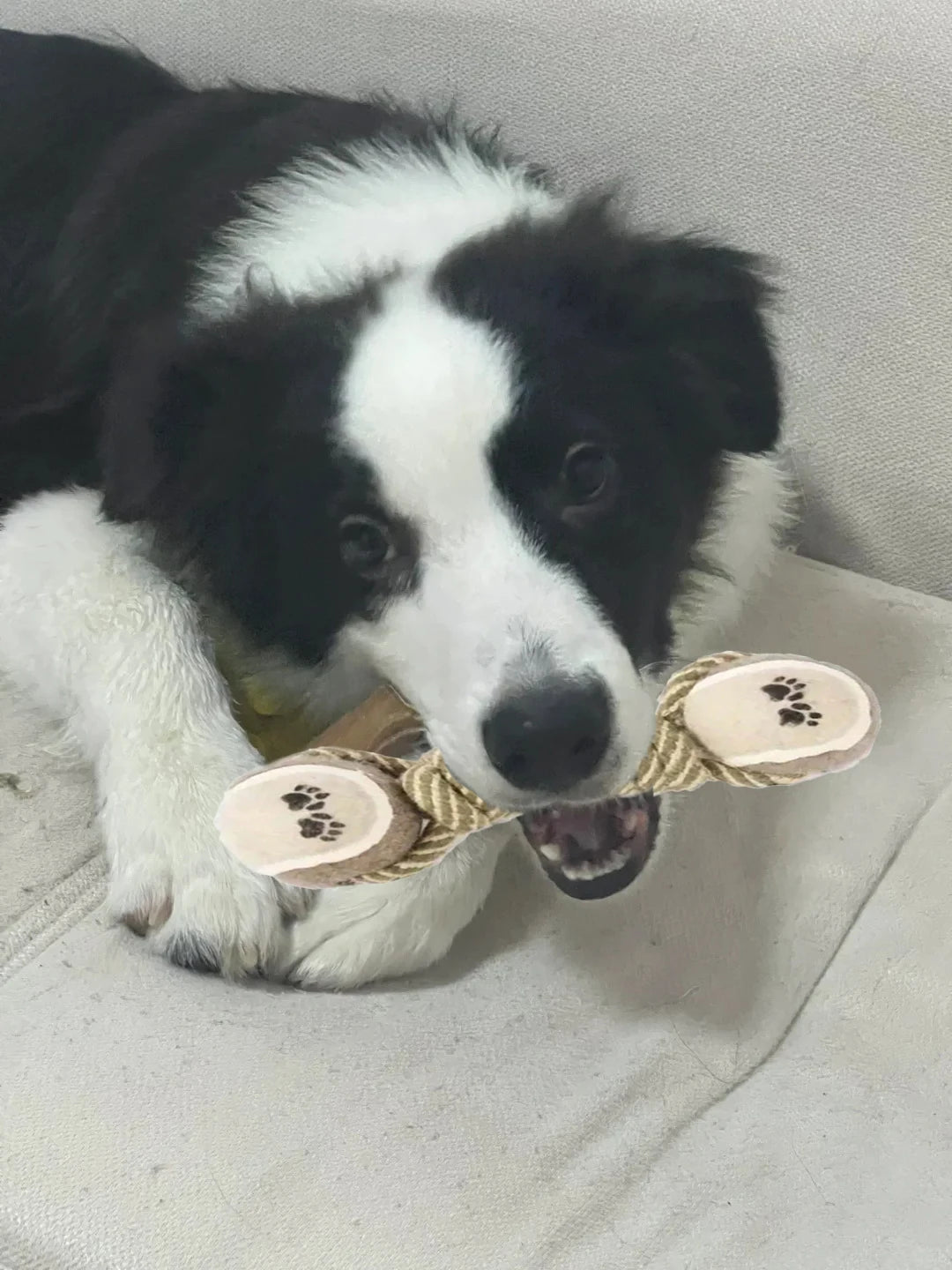 Durable Teeth Cleaning Chew Toy for Dogs