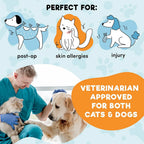 Dog Recovery Collar – Inflatable Soft Cone