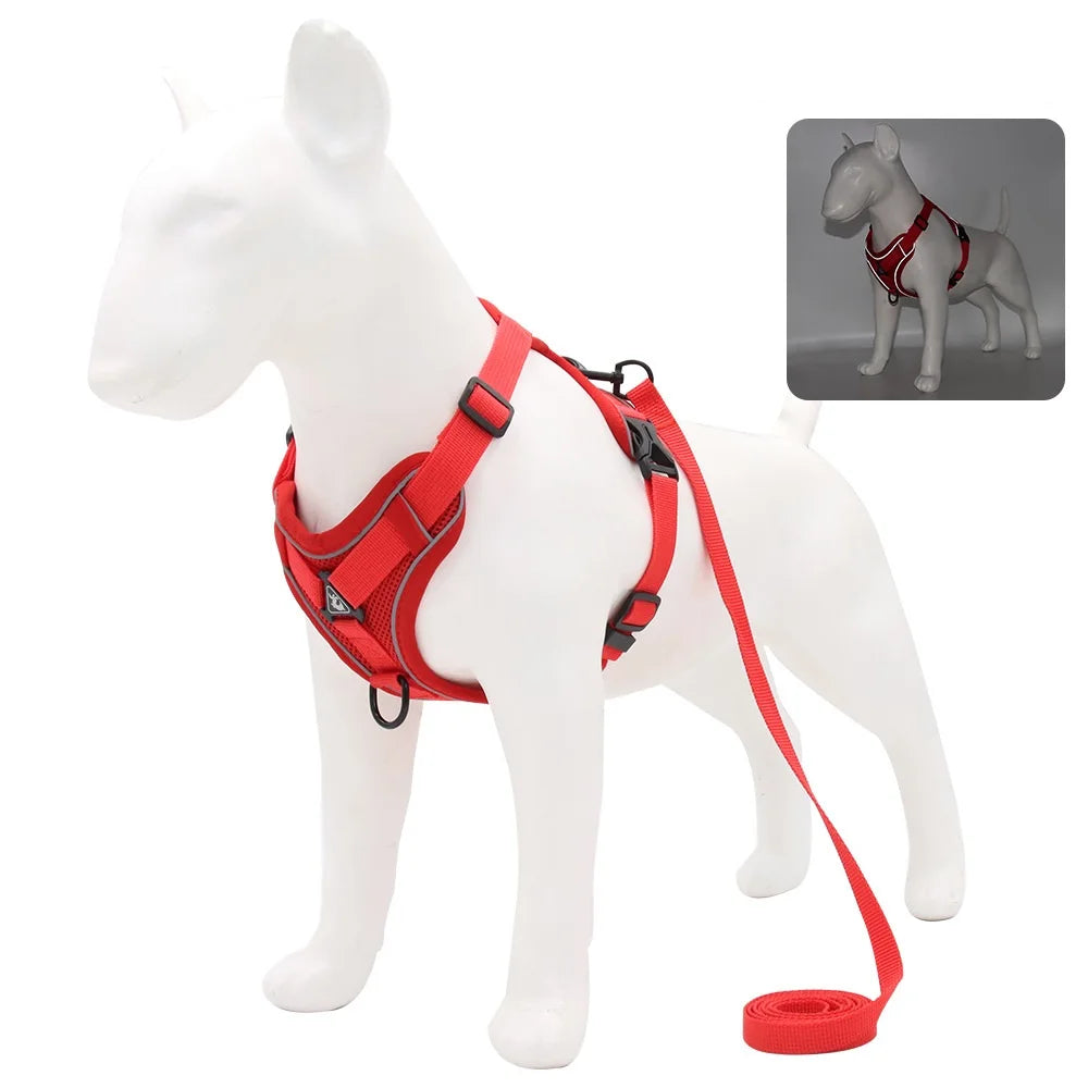 Dog Harness & Leash Set – Padded Adjustable Vest