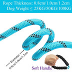 Dog Slip Leash – Anti-Pull Rope Control