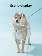 Clear EVA Dog Raincoat – Waterproof Windproof Jacket