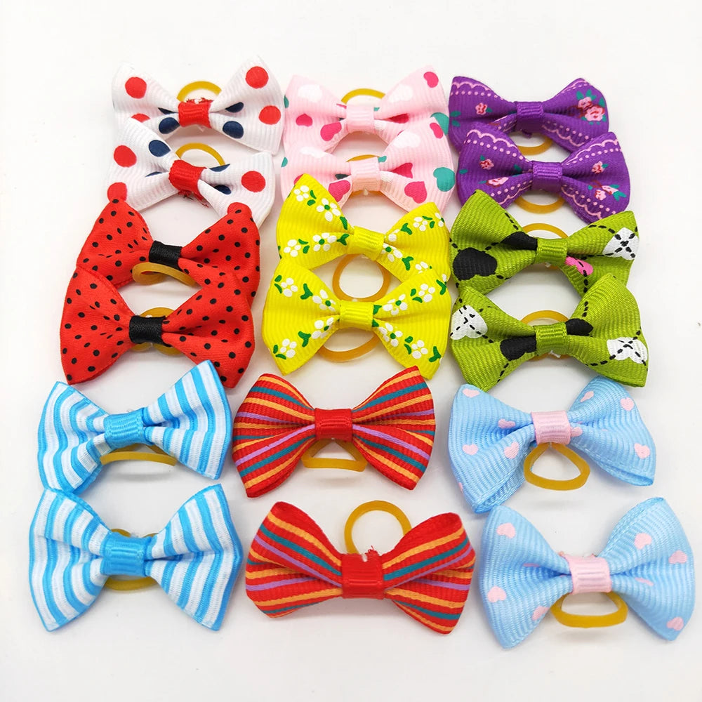 Colorful Small Dog Bows Kit – 10/20/30 Pieces with Rubber Bands for Small Breeds