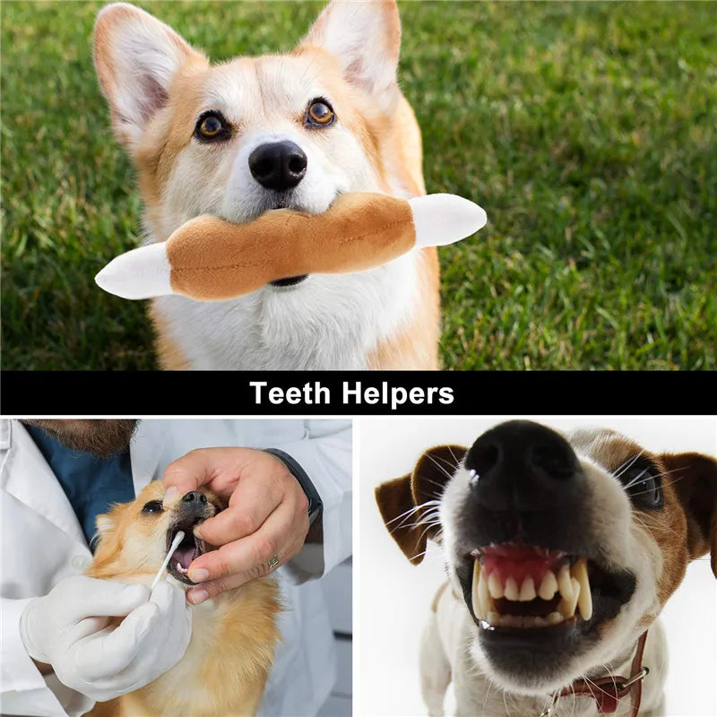 Dog Squeaky Plush Toy Pack – 10/20/50 Pieces