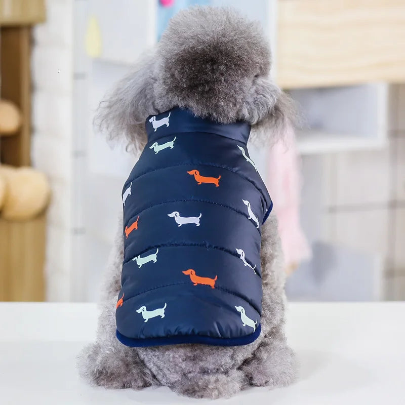 Winter Coat for Small Dogs – Insulated Cotton Jacket for Chihuahua
