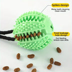 Dog Suction Cup Toy with Treat Ball & Sound – Interactive Puzzle