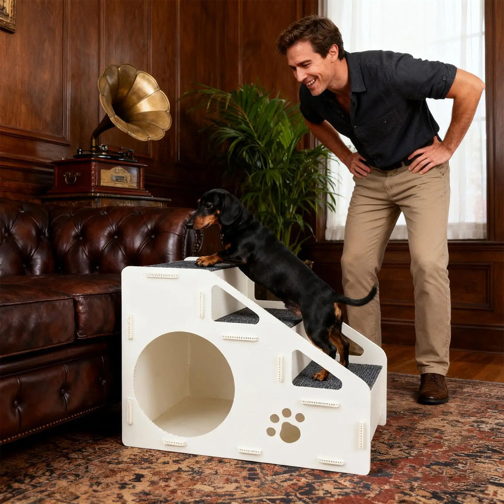 2-in-1 Foldable Dog Steps & Ramp – Non-Slip Stairs for Small Dogs, Puppies & Indoor Use
