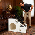 2-in-1 Foldable Dog Steps & Ramp – Non-Slip Stairs for Small Dogs, Puppies & Indoor Use