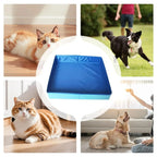 Dog Pool PVC Folding Swimming Pool – Non-Inflatable Paddling Bath Tub for Puppies & Small Dogs