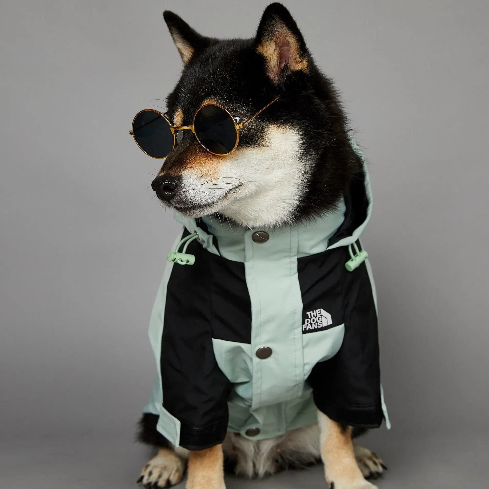 Waterproof Hooded Dog Raincoat Windbreaker – Lightweight Polyester