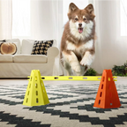 Dog Agility Training Set – Jumping Bar & Obstacle Course Kit
