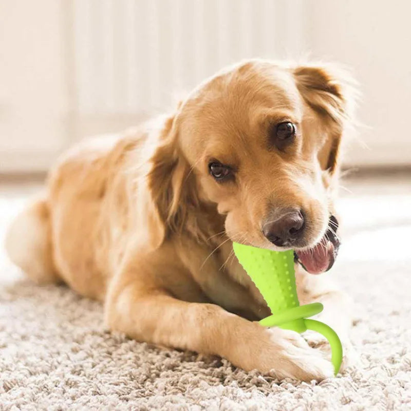 Indestructible Dog Toy for Small Dogs – Dental Chew, Non-Toxic Rubber