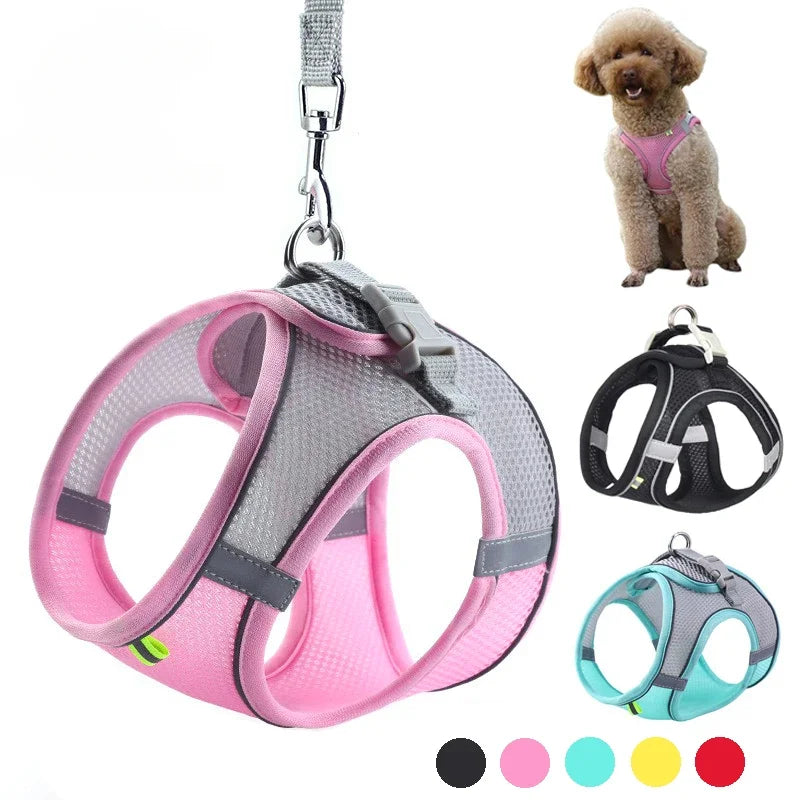 Reflective Nylon Dog Harness – Quick Release Small Breed